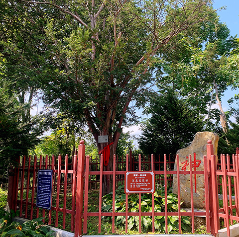 1752462690207805.jpg 557f86fe911b138088d714fb9b07f73.jpg