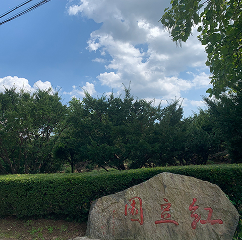 1757916750840865.jpg aa1a205f29f10823f0883d3ebaf01ad.jpg