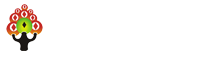 东北红豆杉
